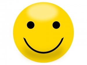 Smiley 300x225 - Smiley