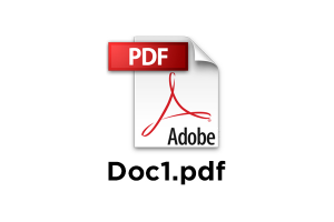 pdf 1 300x200 - pdf_1